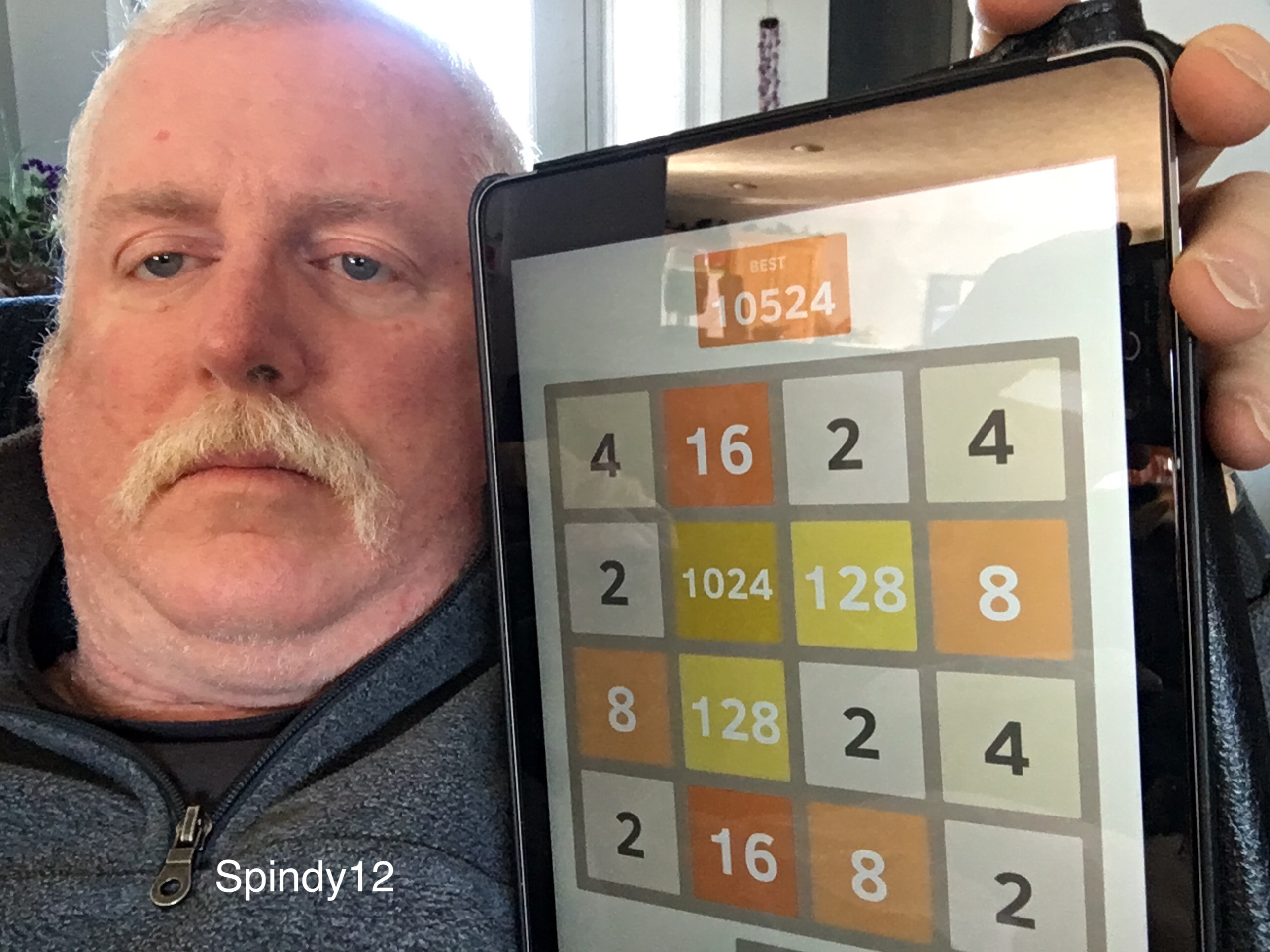Spindy12: 2048 (iOS) 10,524 points on 2017-01-07 09:06:33