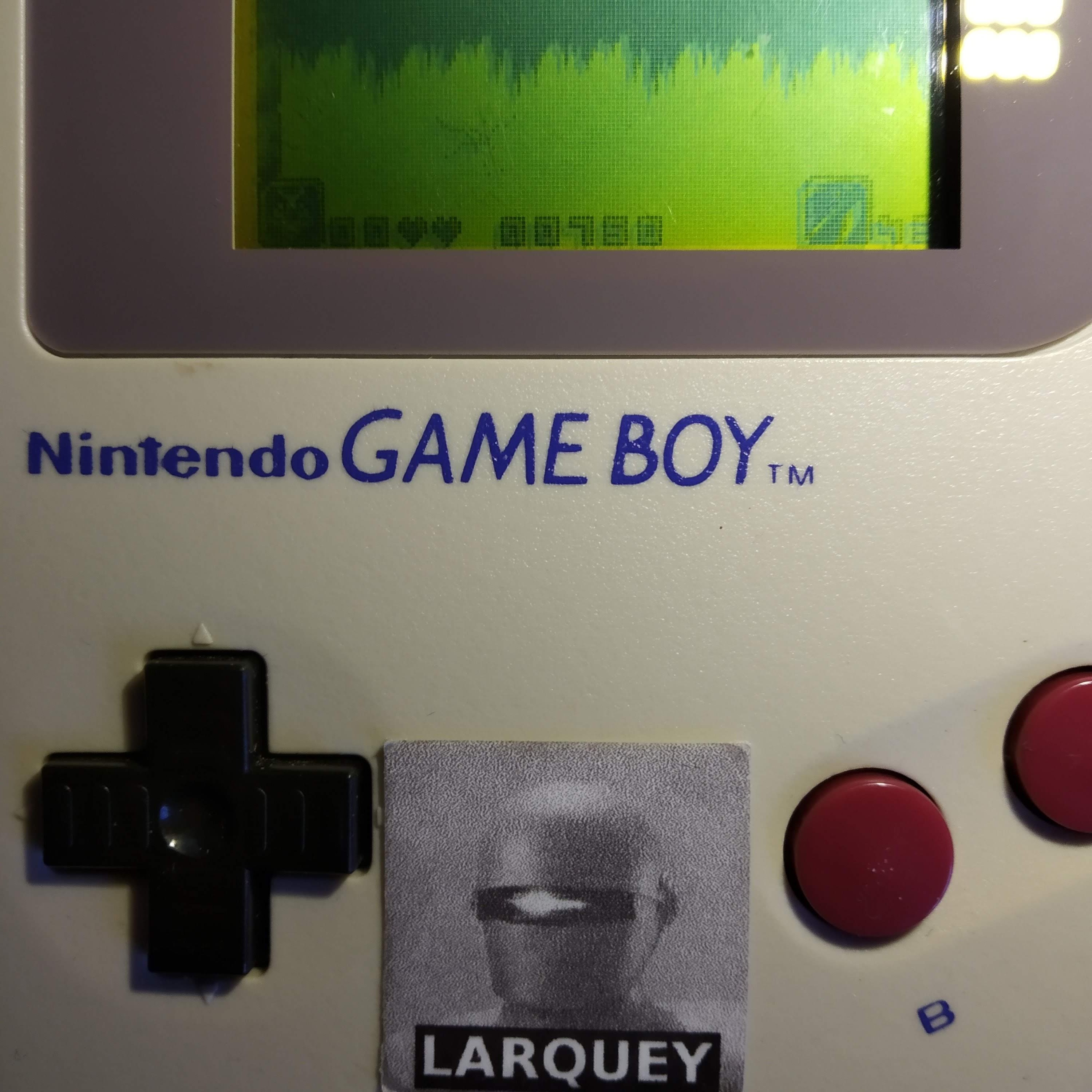 Larquey: Antz (Game Boy) 750 points on 2020-05-09 07:52:13