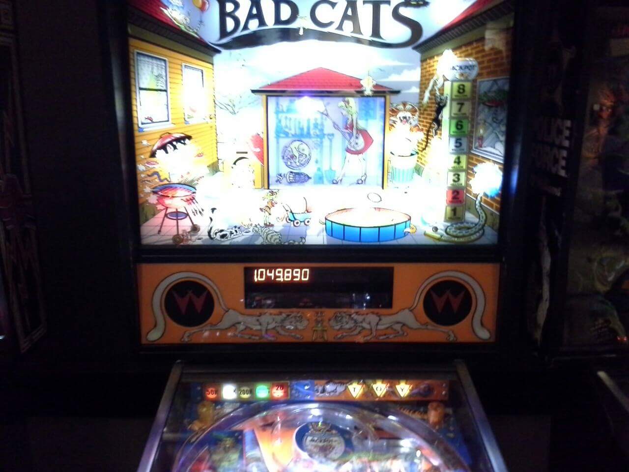 Bad Cats 1,049,890 points