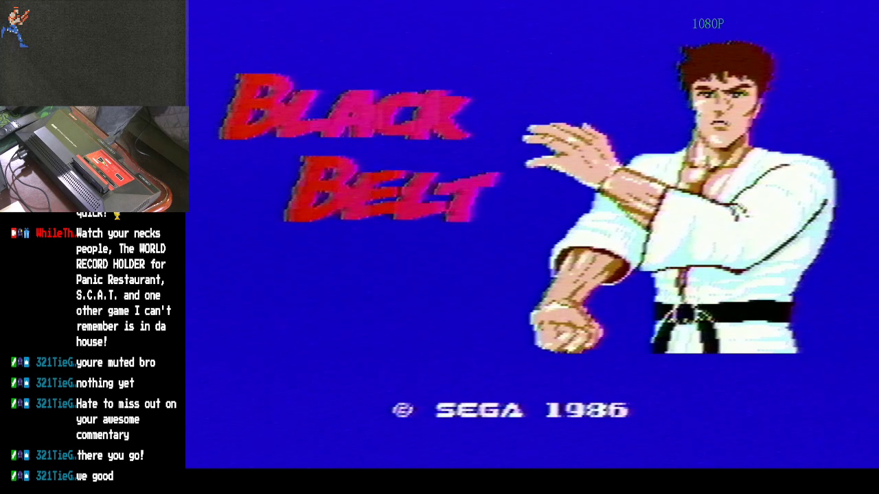 Whilethekidsareaway: Black Belt (Sega Master System) 977,600 points on 2021-06-24 08:45:32