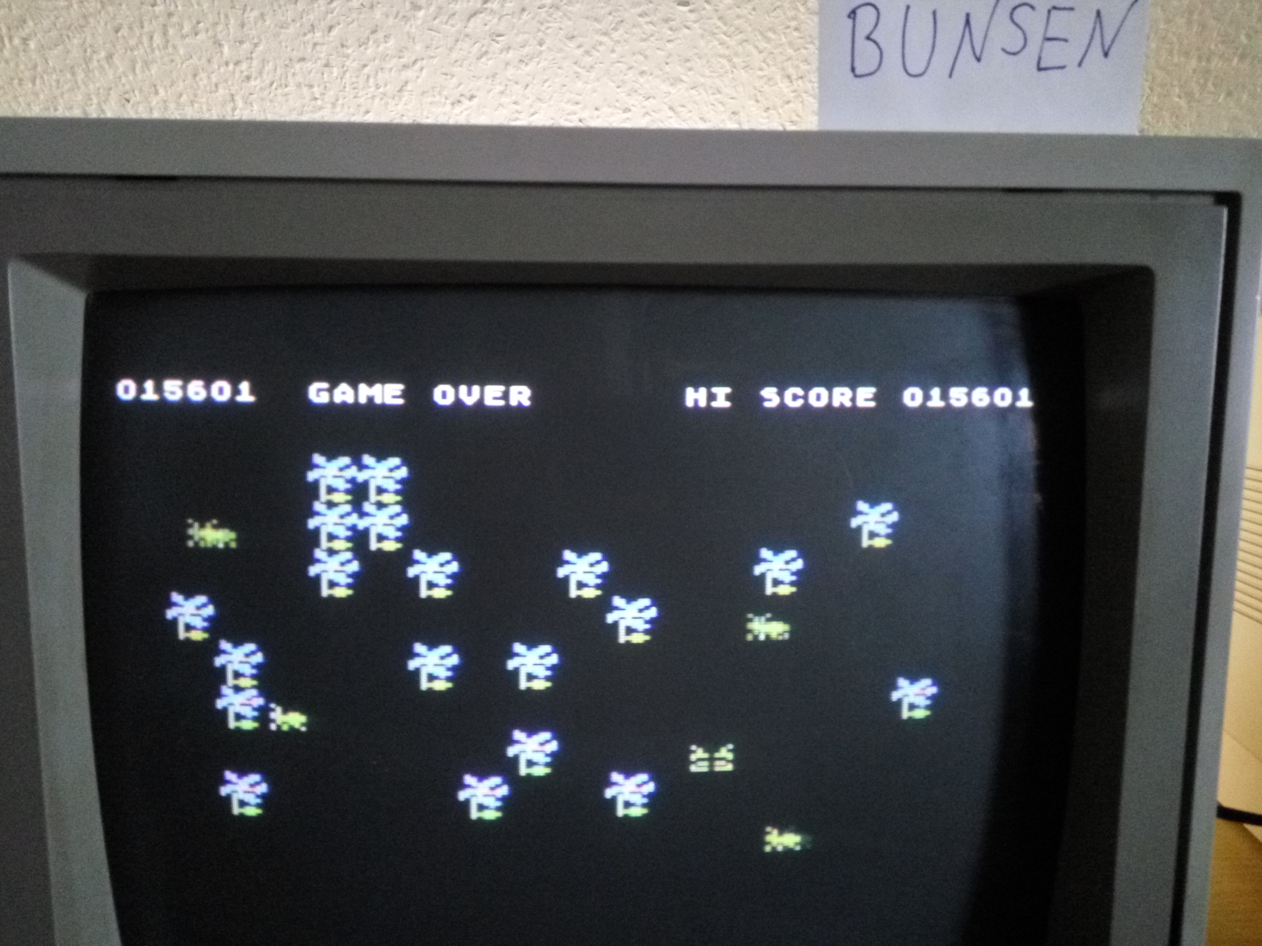 Bunsen: Bug Attack (Atari 400/800/XL/XE) 15,601 points on 2016-04-26 11:29:14