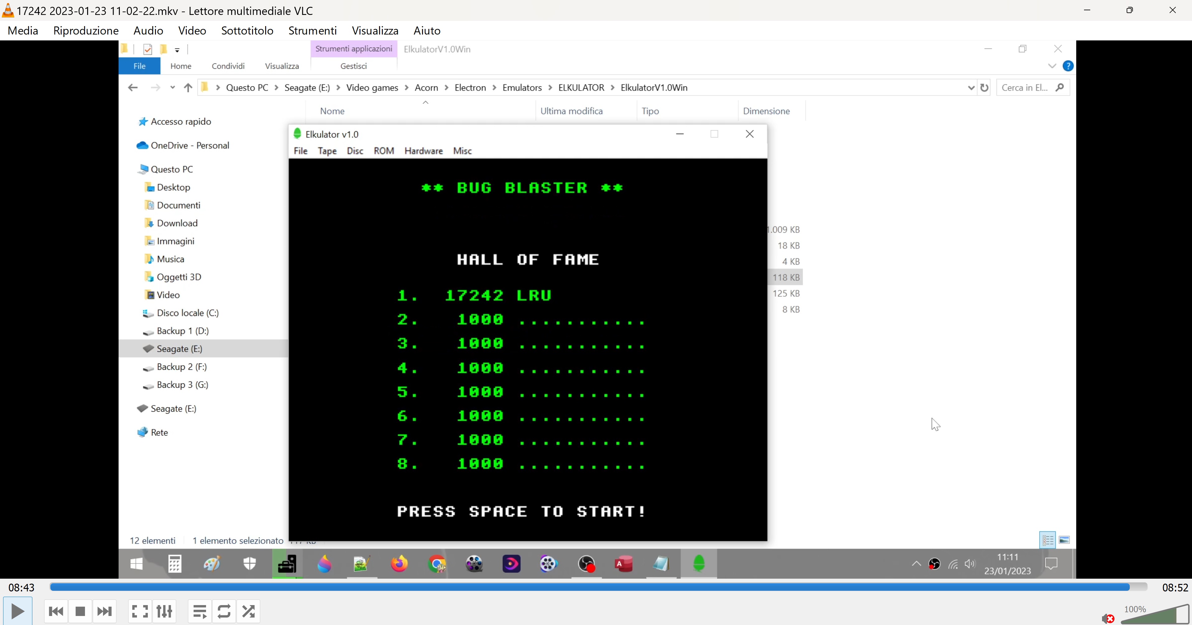 Bug Blaster 17,242 points
