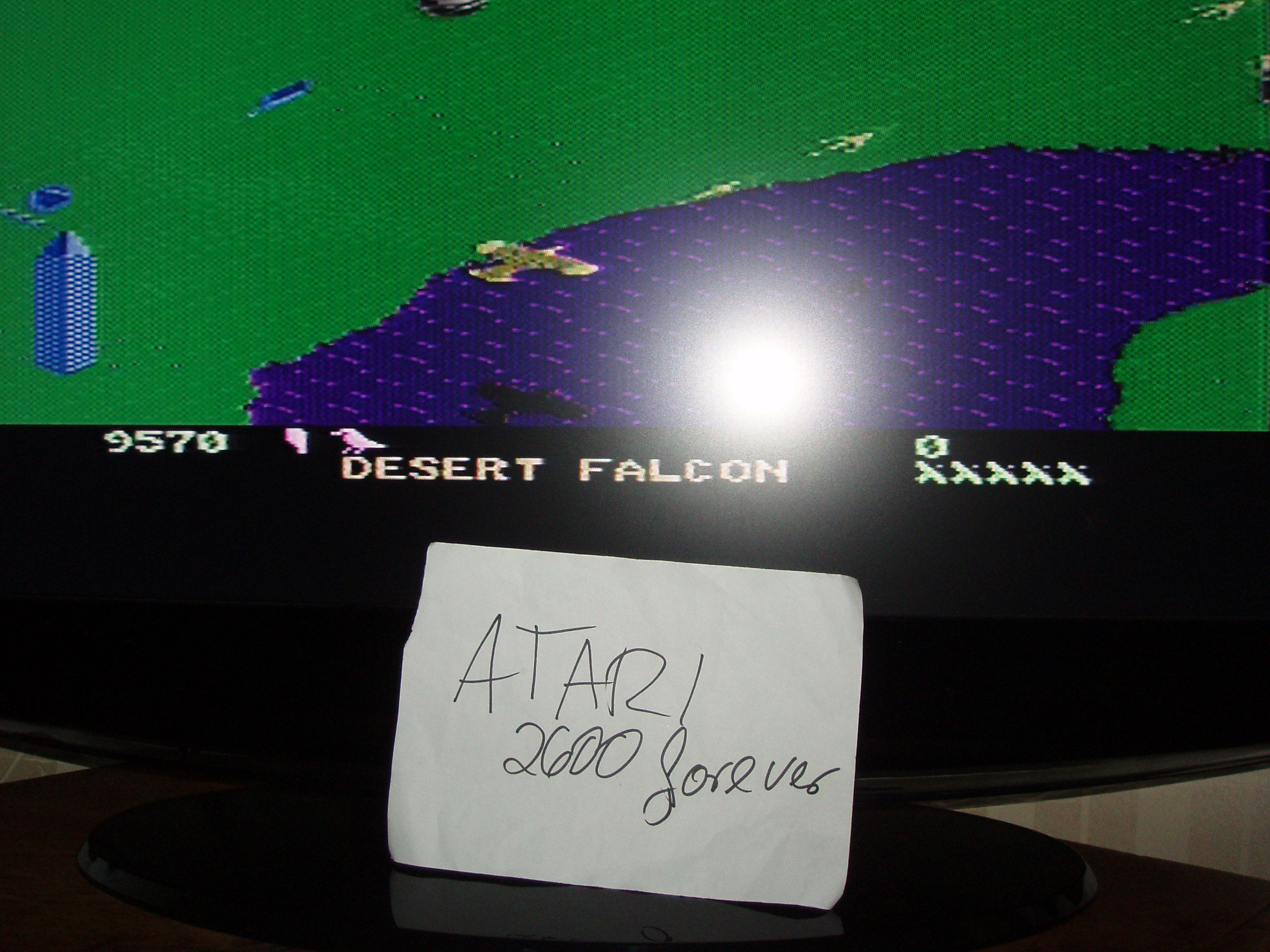 Desert Falcon: Novice 9,570 points