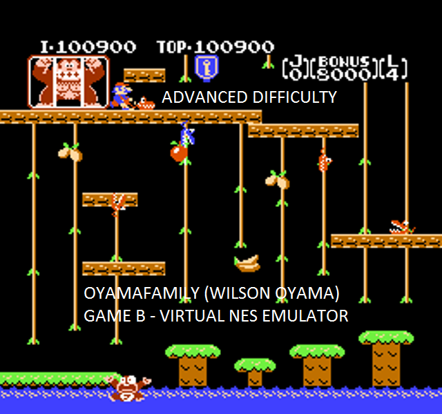 oyamafamily: Donkey Kong Jr: Game B (NES/Famicom Emulated) 100,900 points on 2015-10-03 10:25:00