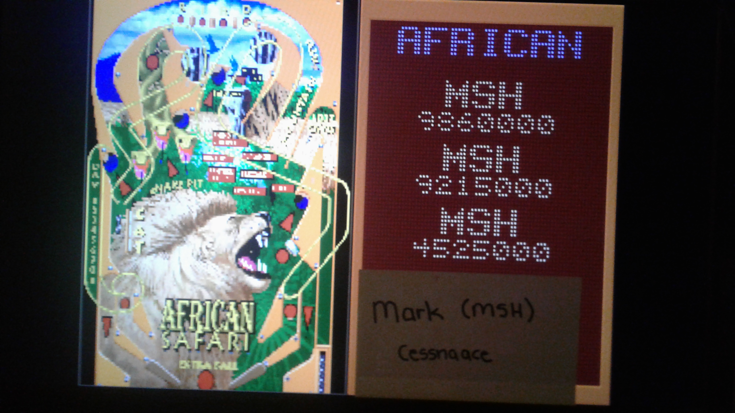 Mark: Epic Pinball: African Safari (PC Emulated / DOSBox) 9,860,000 points on 2019-05-15 00:06:34