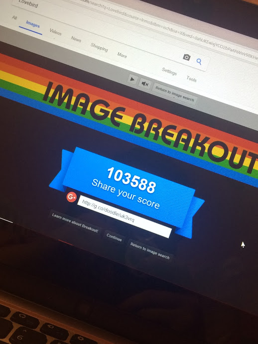Google Image Breakout 103,588 points