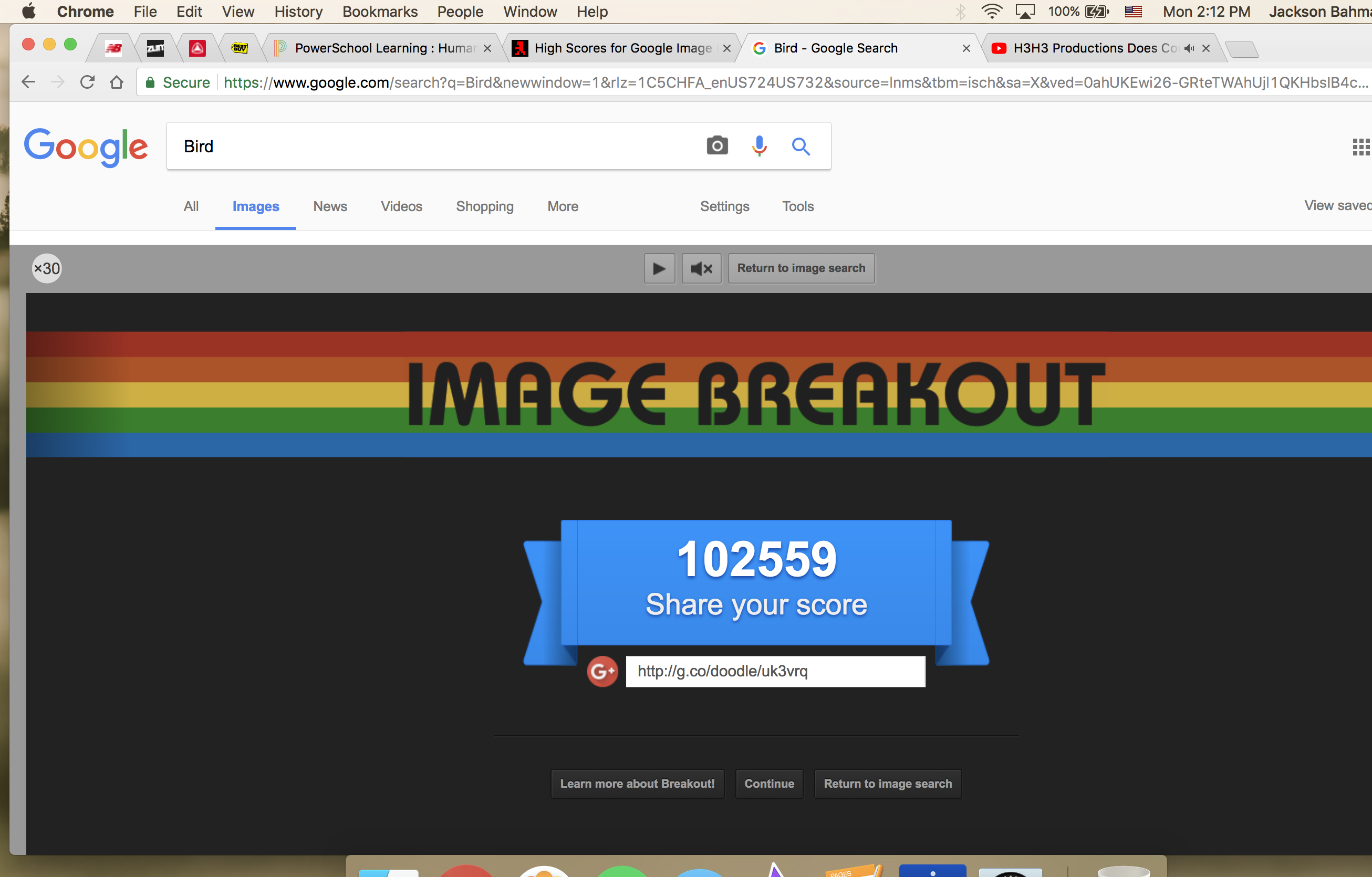 Google Image Breakout 102,559 points