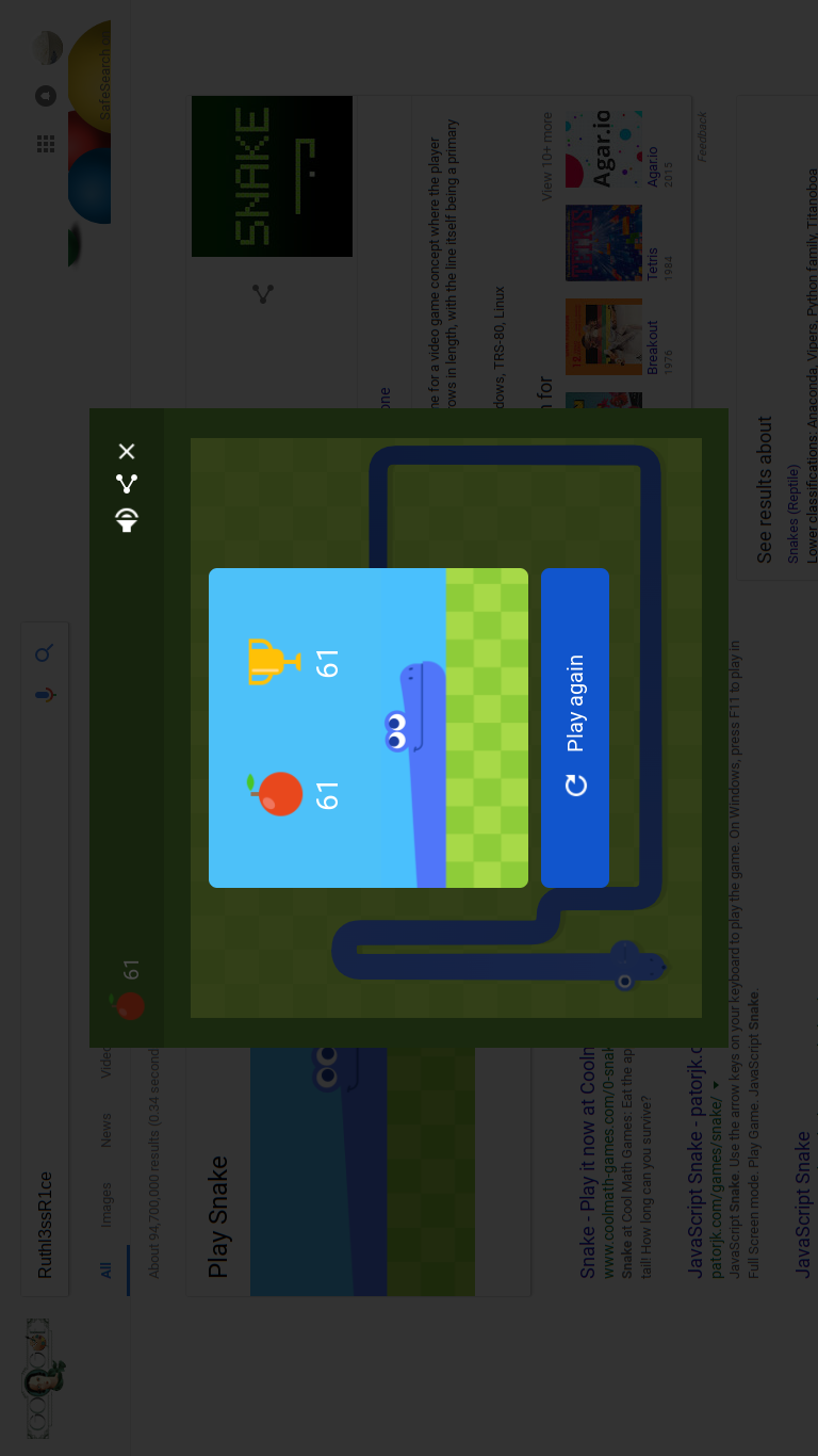 Google Snake Game  135 Score 