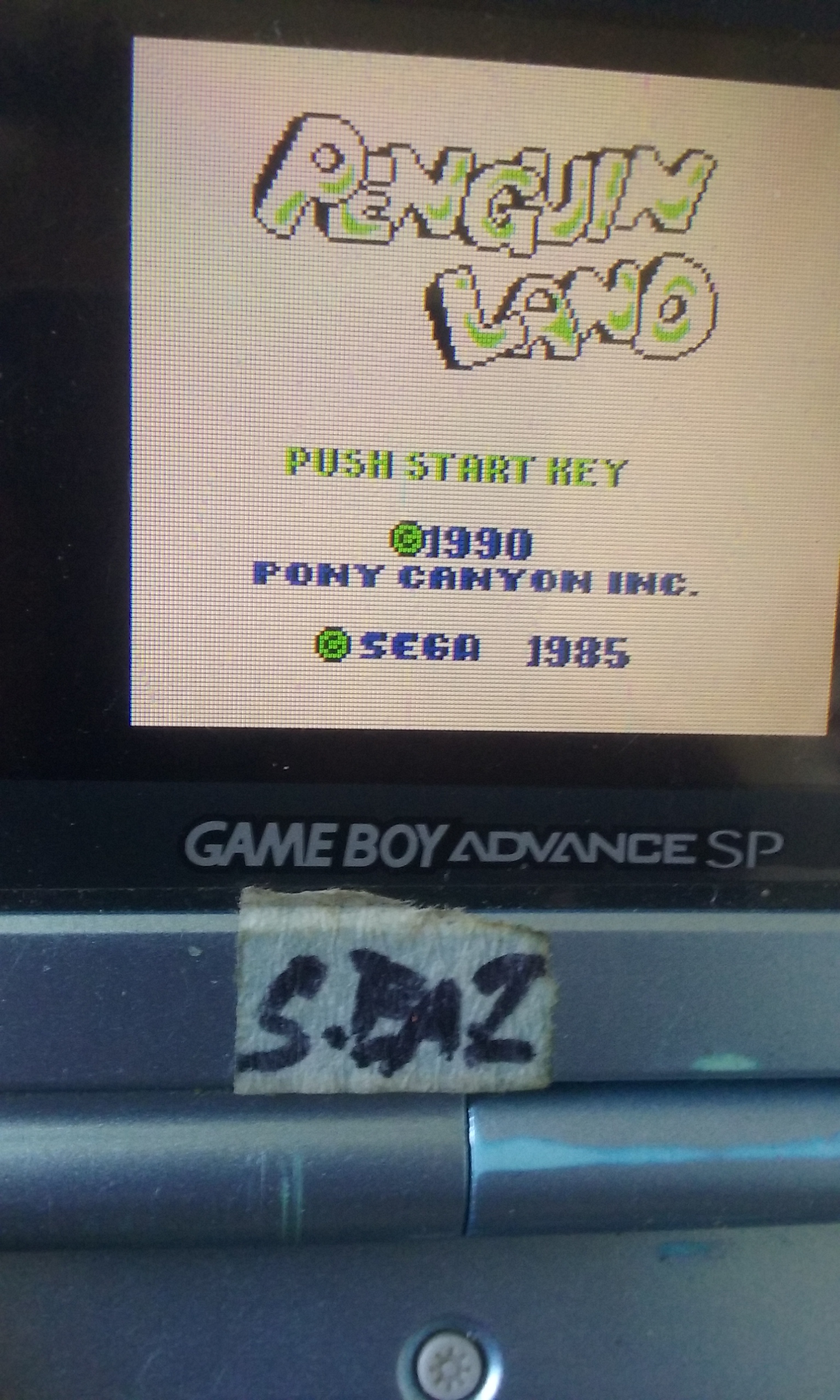 S.BAZ: Penguin Land (Game Boy) 0 points on 2018-02-02 10:27:03