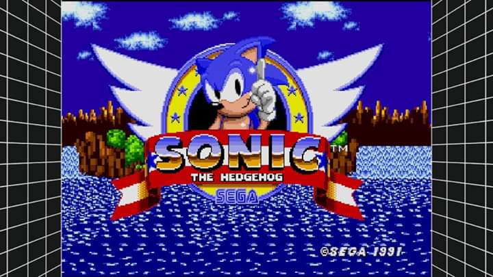 JML101582: Sega Genesis Classics: Sonic The Hedgehog (Nintendo Switch) 30,700 points on 2020-01-01 19:22:21