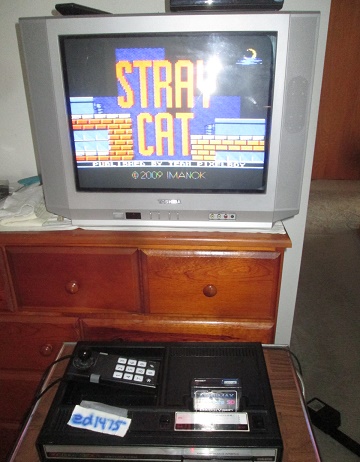 ed1475: Stray Cat (Colecovision) 329 points on 2019-08-13 19:15:40