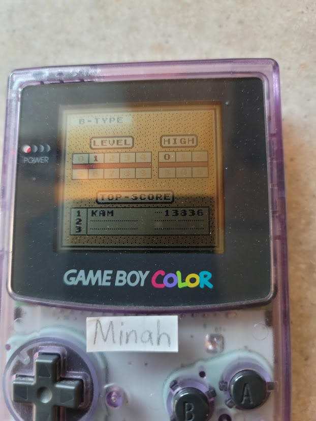 minah: Tetris: Type B [Level 1 / High 0] (Game Boy) 13,836 points on 2021-09-24 10:51:01