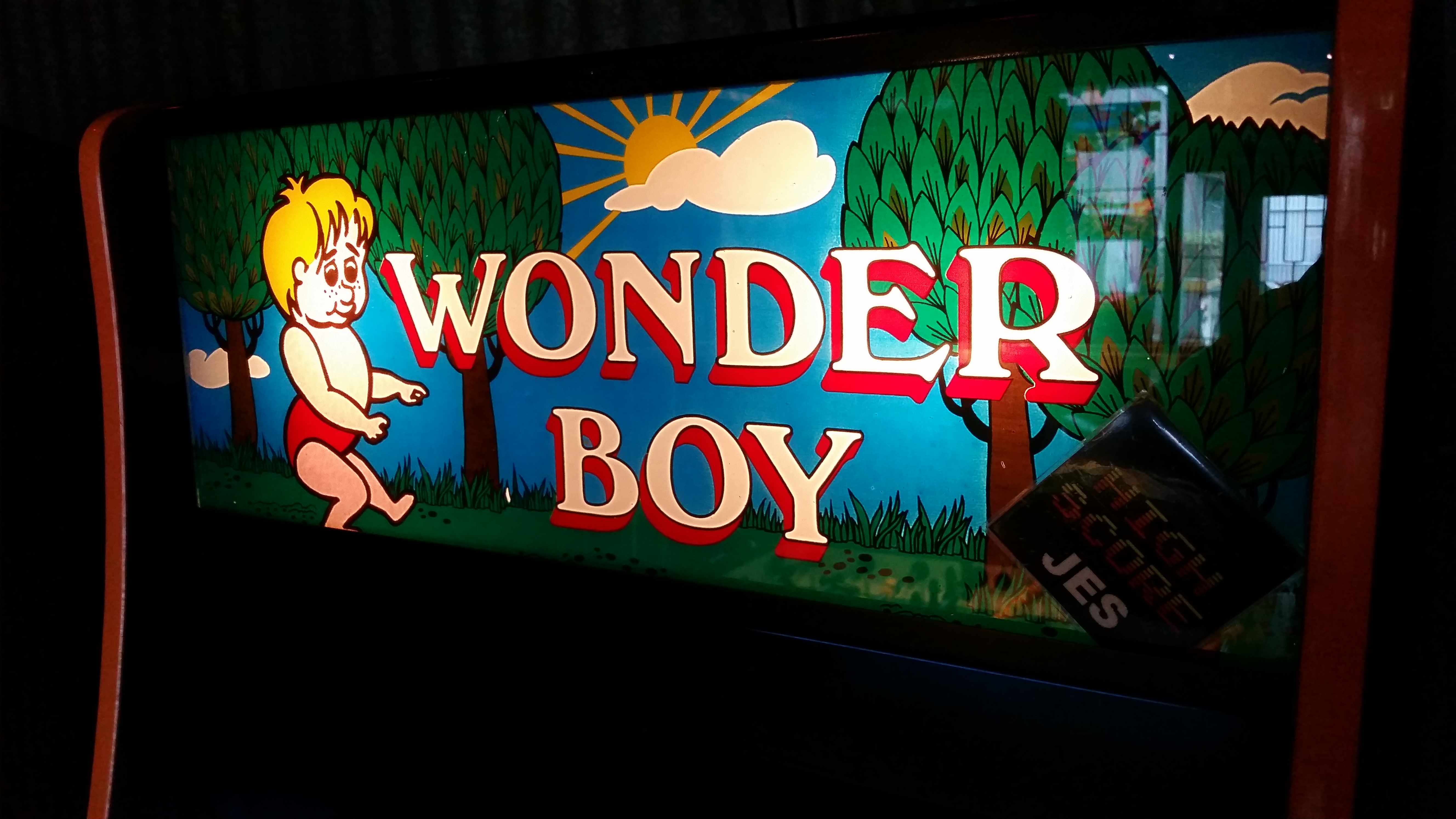 JES: Wonder Boy (Arcade) 117,960 points on 2017-05-15 20:05:07
