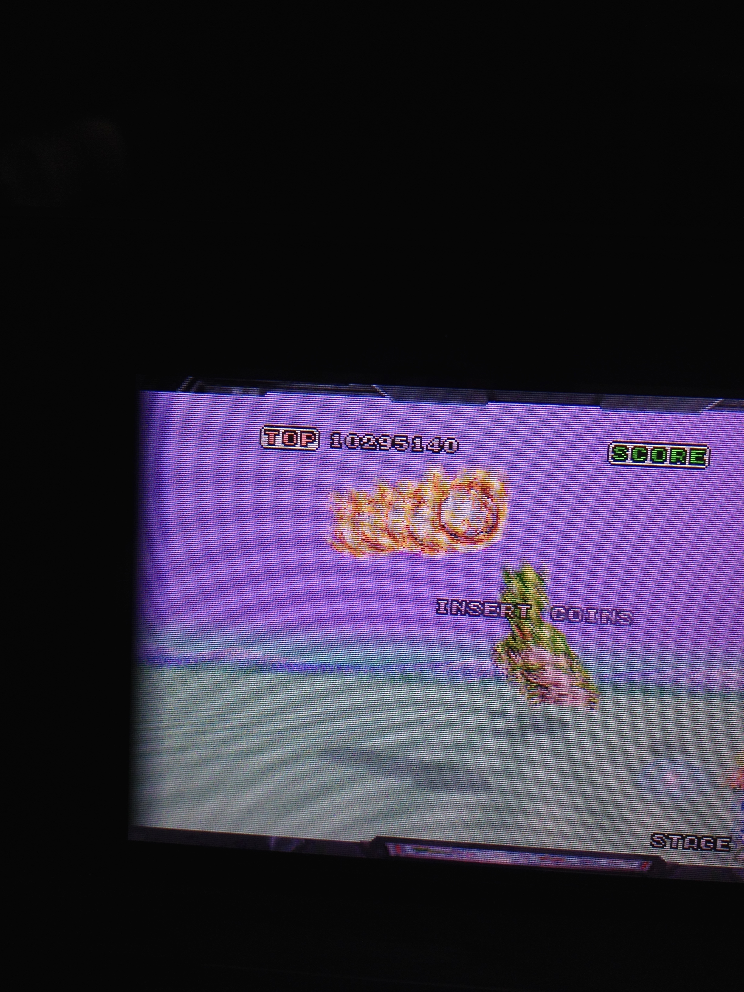 Space Harrier 10,295,140 points