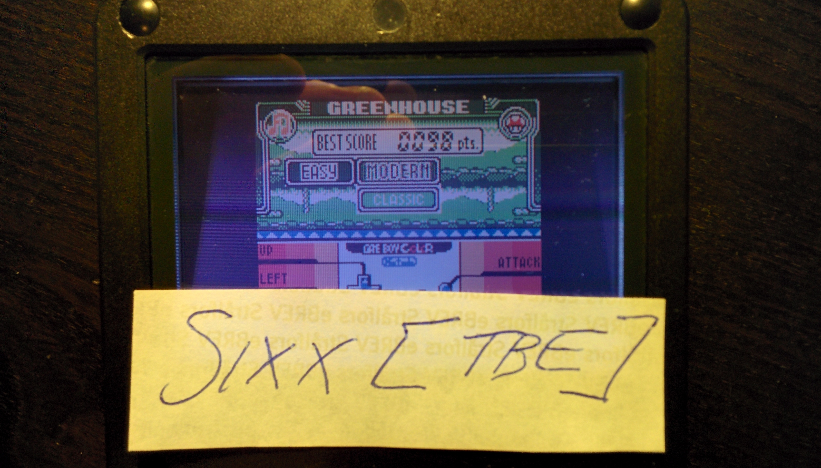 Sixx: Game & Watch Gallery 3: Greenhouse: Modern: Easy (Game Boy Color) 98 points on 2014-09-16 15:06:08