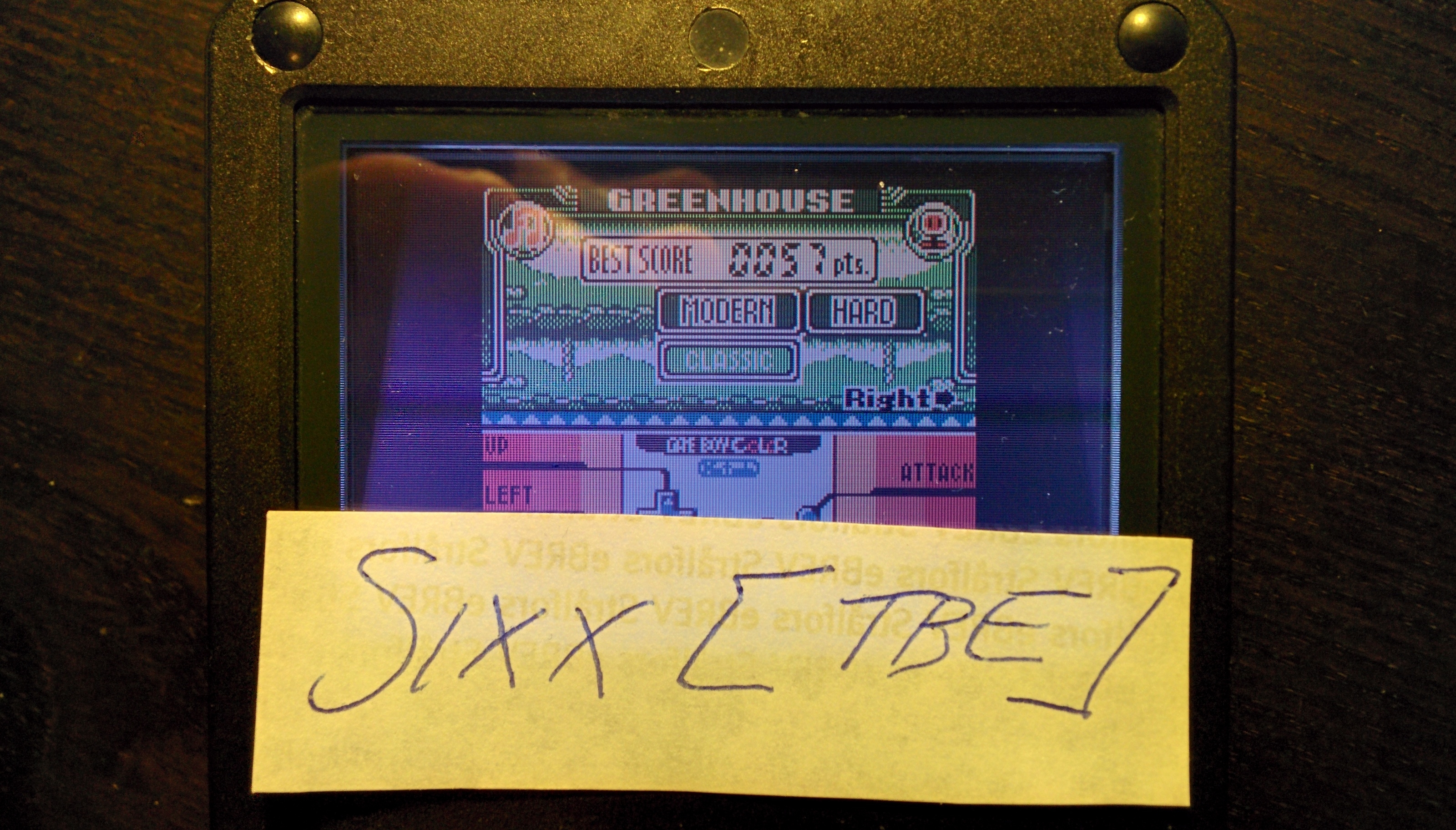 Sixx: Game & Watch Gallery 3: Greenhouse: Modern: Hard (Game Boy Color) 57 points on 2014-09-17 02:10:15