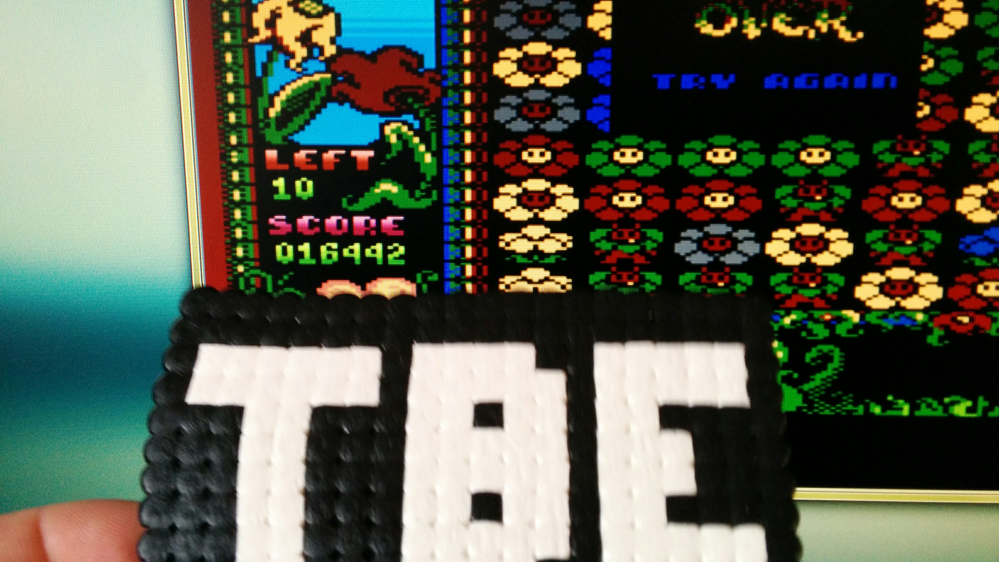 Sixx: Flowers Mania (Atari 400/800/XL/XE Emulated) 16,442 points on 2014-10-10 10:02:52