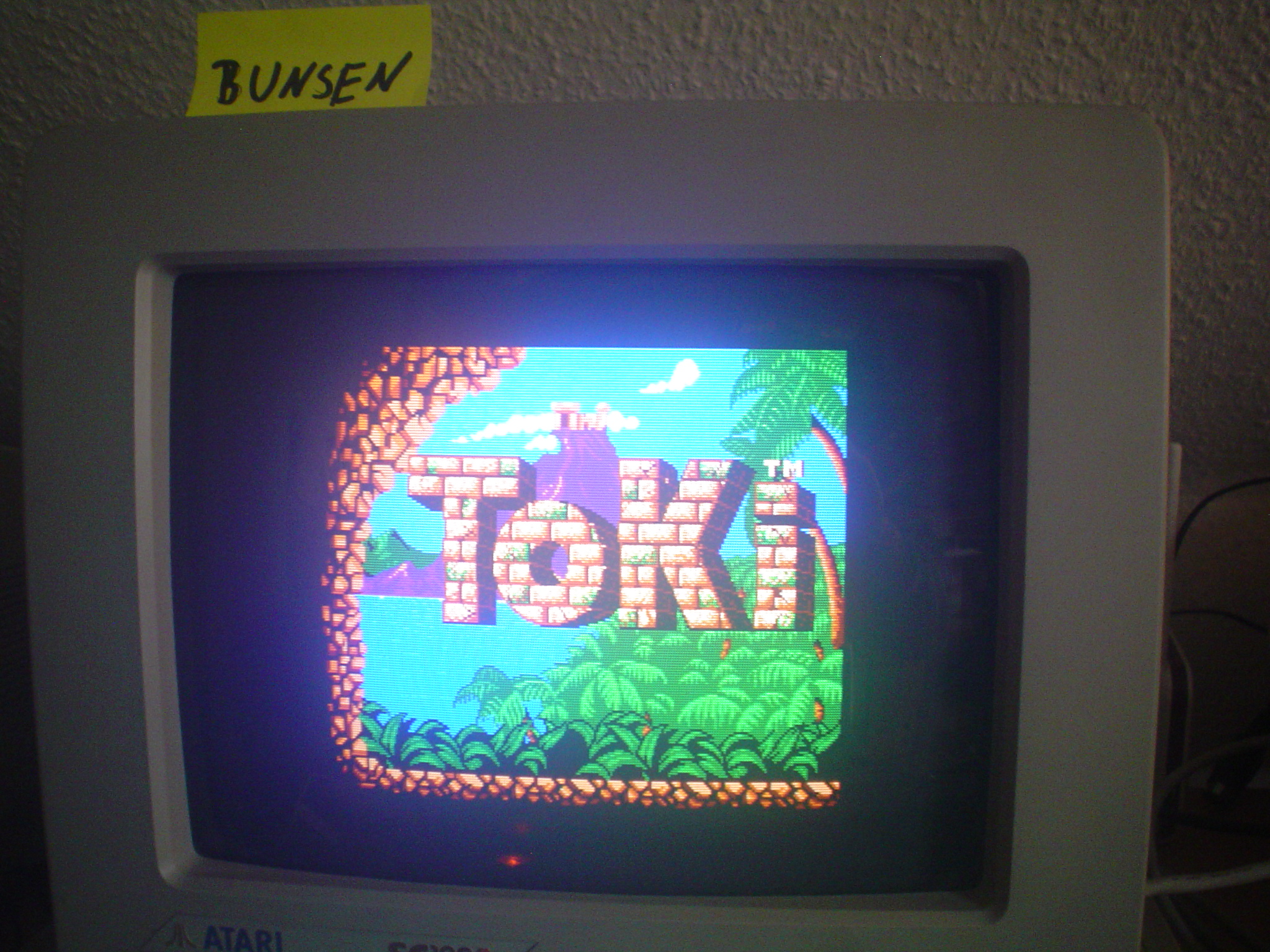 Bunsen: Toki (Atari ST) 1,460 points on 2015-04-18 07:53:41