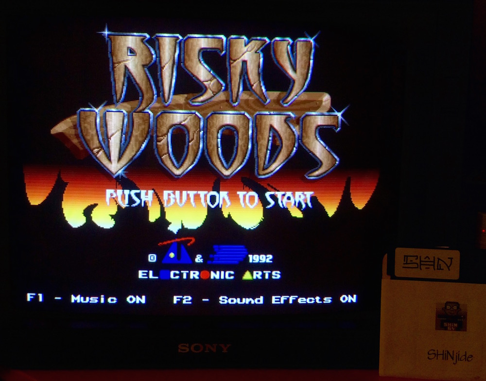 SHiNjide: Risky Woods [Electronic Arts] (Amiga) 53,286 points on 2015-06-07 03:07:13