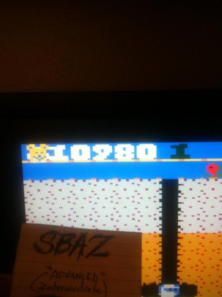 Dig Dug: Teddy Bear 110,980 points