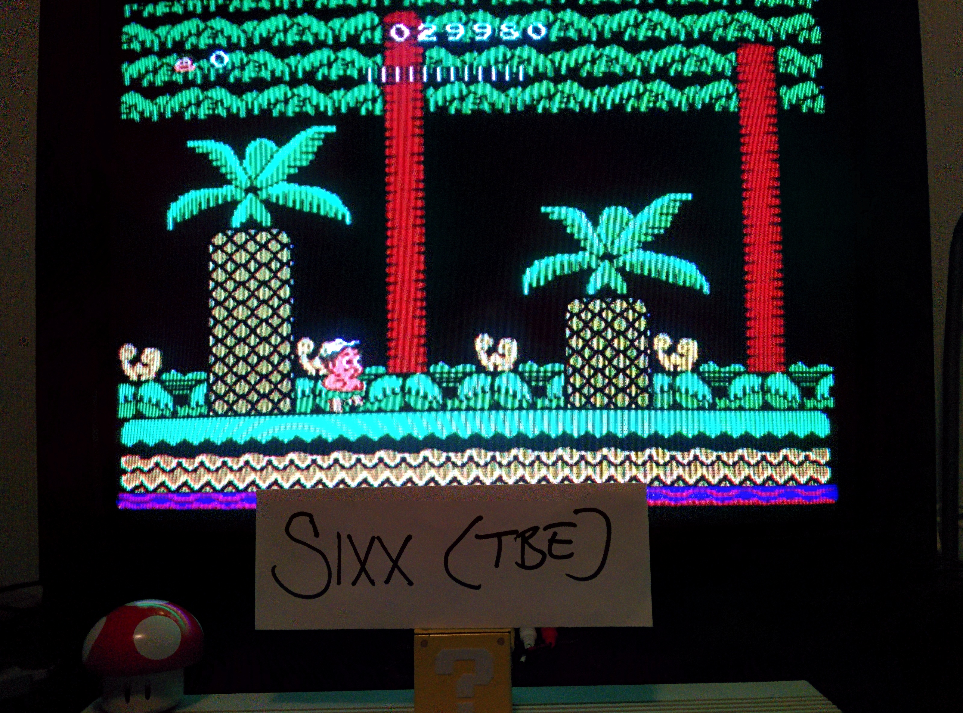 Sixx: Adventure Island II (NES/Famicom Emulated) 29,980 points on 2014-06-08 15:13:41